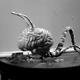 Image for article titled Fifty Shades of Gray Matter: The Most Malevolent Brain Monsters